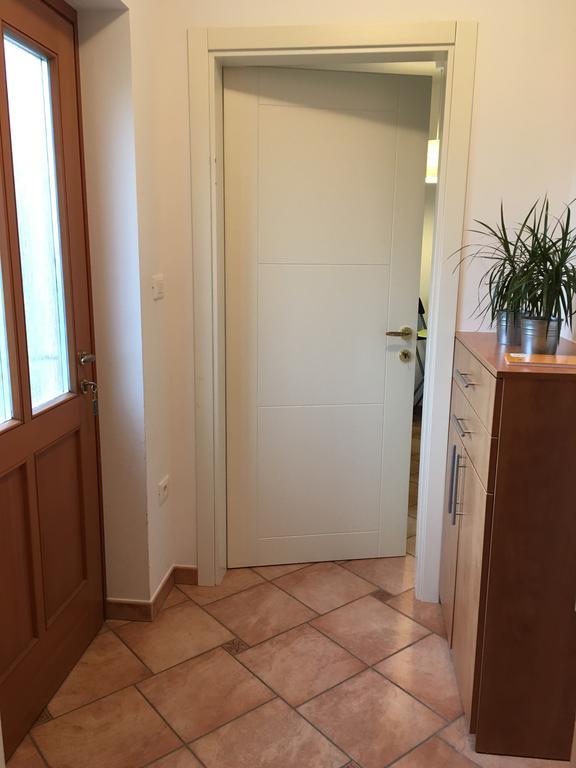 Apartment Nova Gorica - Nocitve Falco Exteriér fotografie
