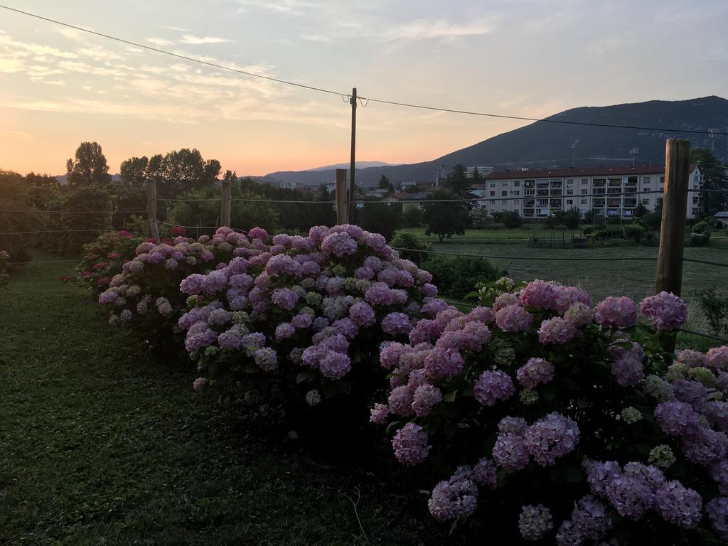 Apartment Nova Gorica - Nocitve Falco Exteriér fotografie